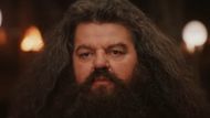 Hagrid in Harry Potter and the Sorcerer's Stone | Image via: Warner Bros. Pictures